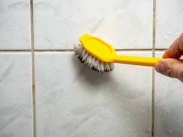 Best Mold Removal Company Near Me  in Petersburg, IL