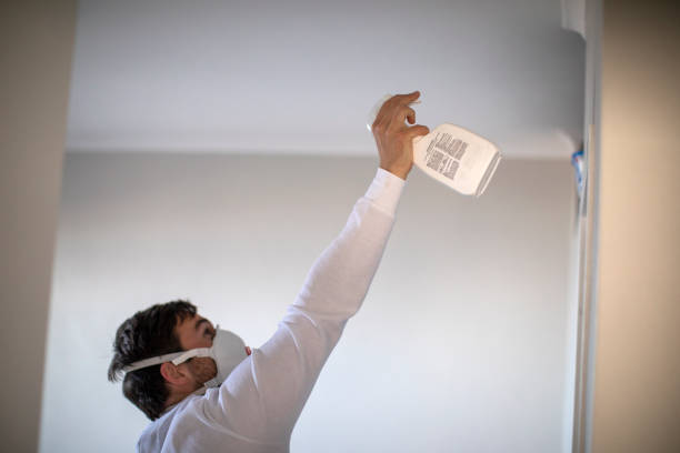 Best Black Mold Removal  in Petersburg, IL